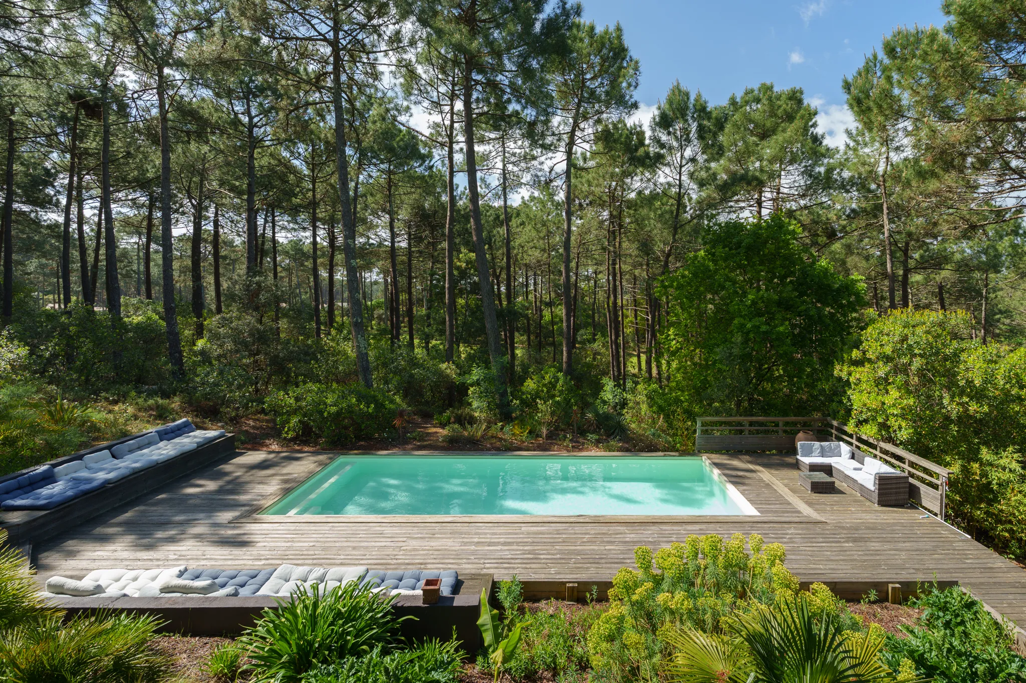 Piscine entourée de végétation luxuriante