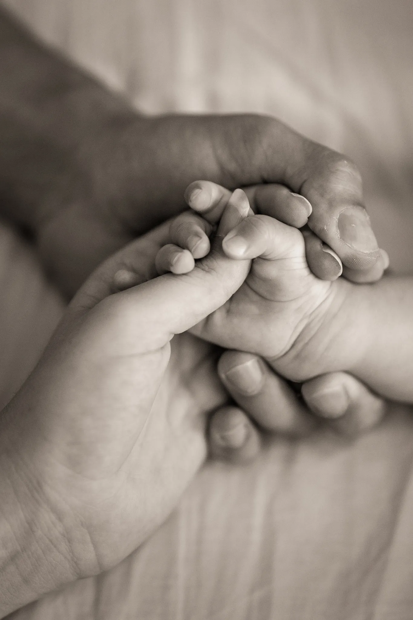 Gros plan mains entrelacées bébé et parents, sepia.