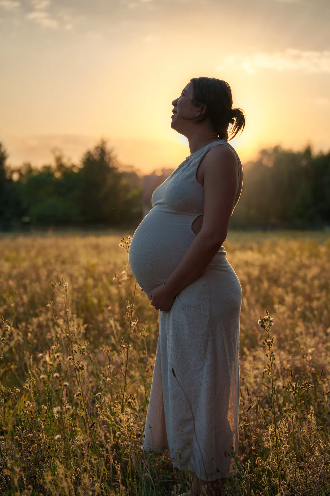 Profil femme enceinte, dans un champ au couché du soleil.