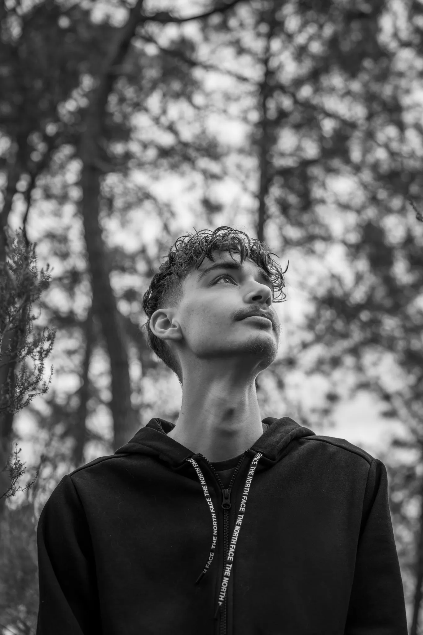 Gros plan jeune homme, regard le ciel en forêt, noir et blanc.